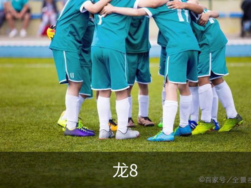 龙8介绍